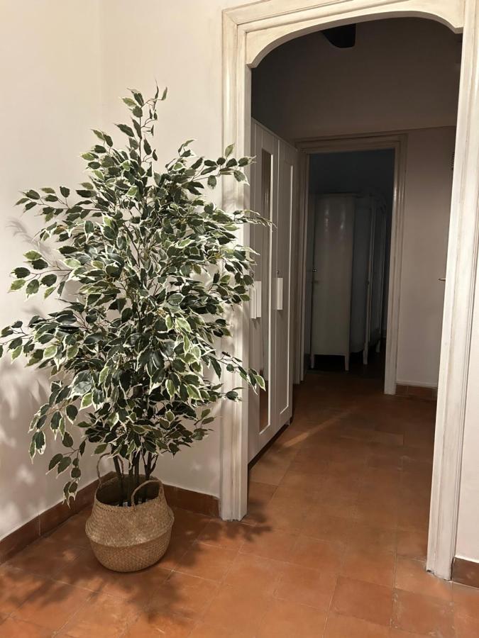 La Casa Di Gioia Διαμέρισμα Όστια Αντίκα Εξωτερικό φωτογραφία